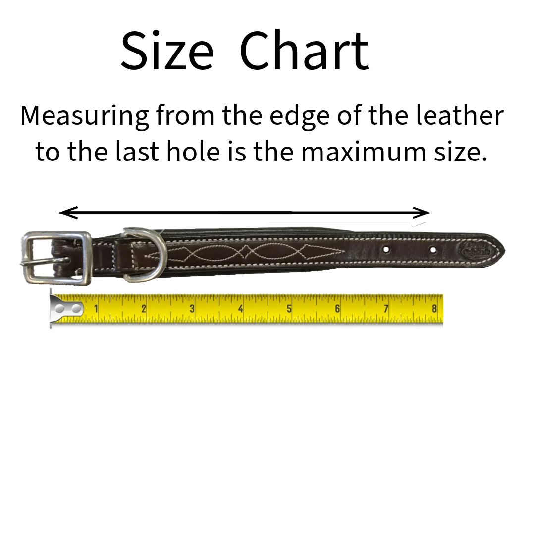 Dog Collar with Stainless Steel Rolled Buckle for Comfort