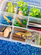 Frog Pond Life Cycle Kit And Water Play