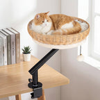 Cat Desk Bed with Removable Padded Cushion for Indoor