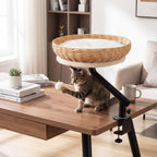 Cat Desk Bed with Removable Padded Cushion for Indoor