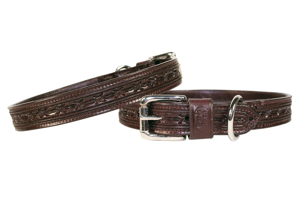 Dog Collar with Stainless Steel Rolled Buckle for Comfort