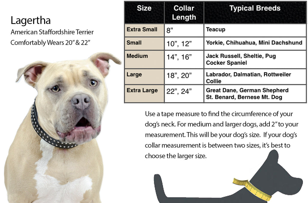 Dog Collar with Stainless Steel Rolled Buckle for Comfort