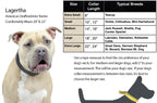 Dog Collar with Stainless Steel Rolled Buckle for Comfort
