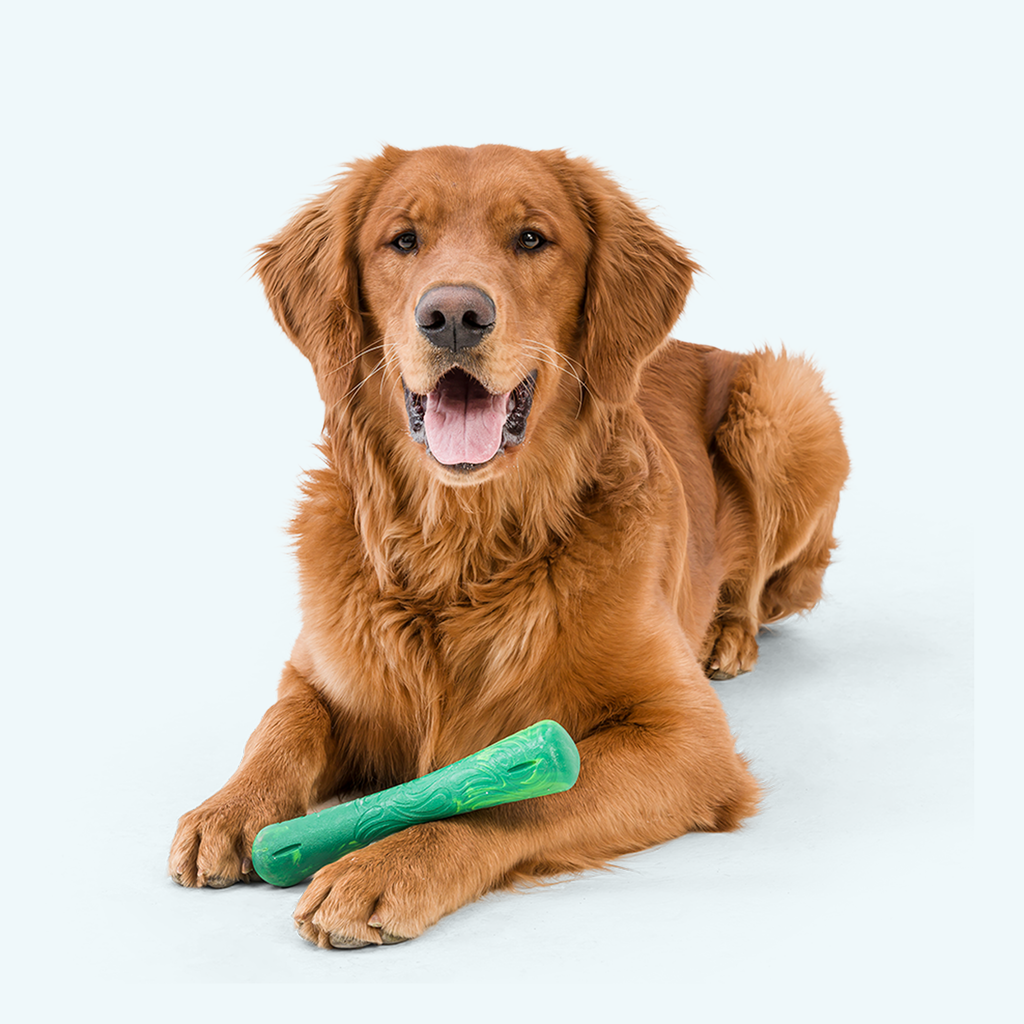 Dog Chew Toy