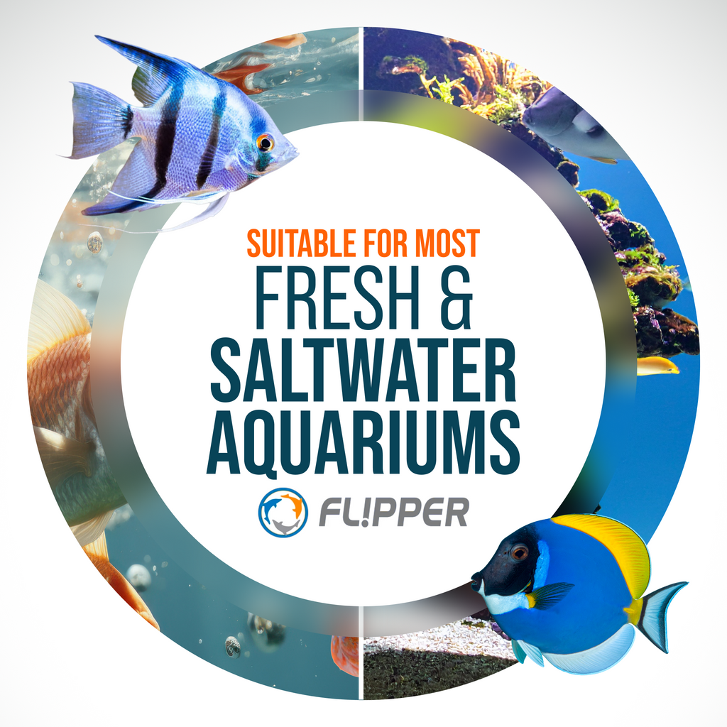 2 in 1 Magnetic Aquarium Algae Cleaner