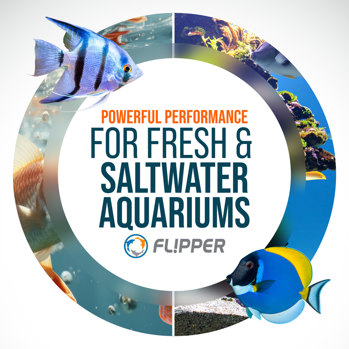 Aquarium Algae Cleaner (Standard)