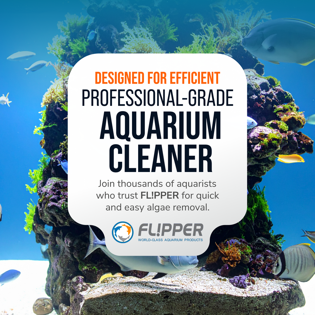 Aquarium Algae Cleaner (Standard)