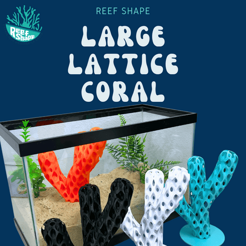 Aquarium Decoration for Aquatic Pets