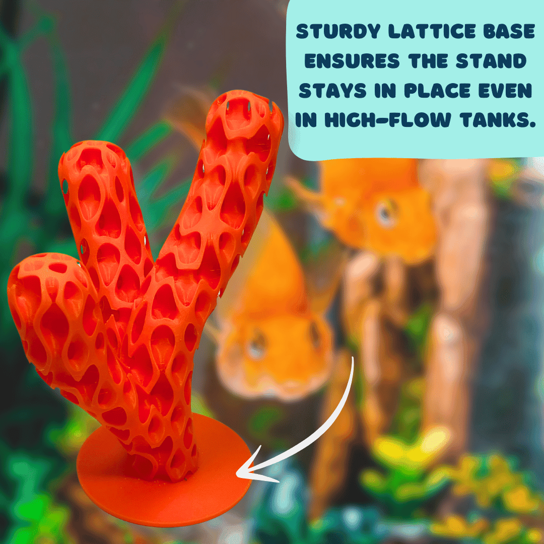 Aquarium Decoration for Aquatic Pets