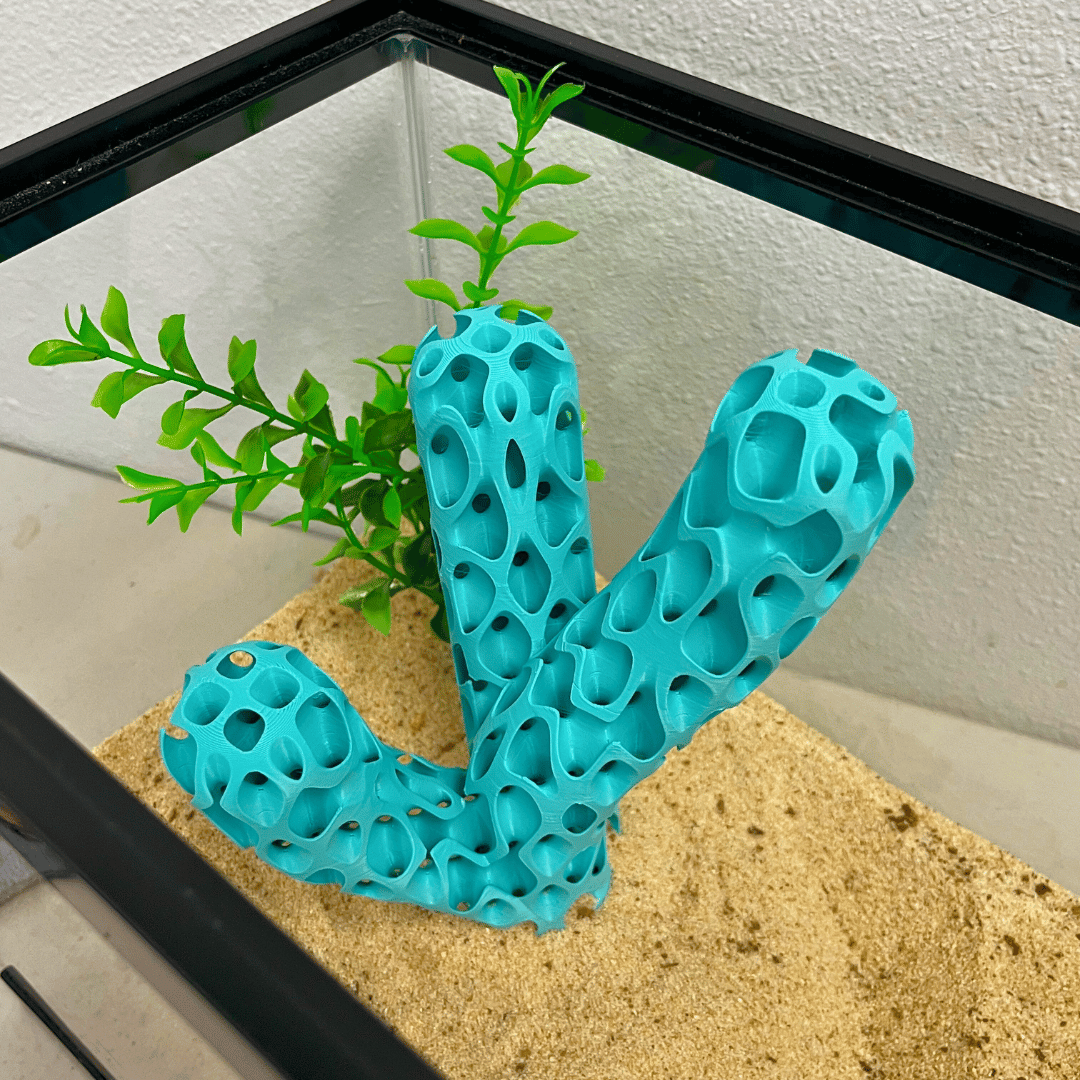 Aquarium Decoration for Aquatic Pets