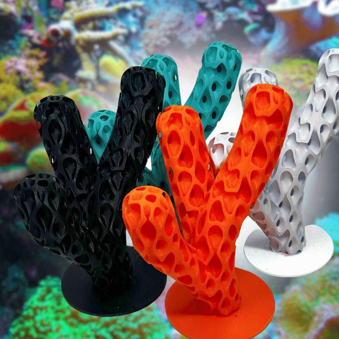 Aquarium Decoration for Aquatic Pets