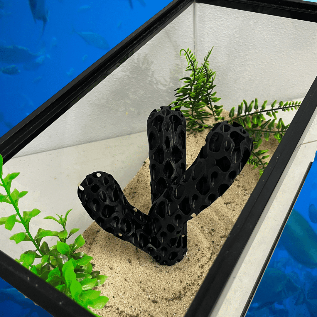 Aquarium Decoration for Aquatic Pets