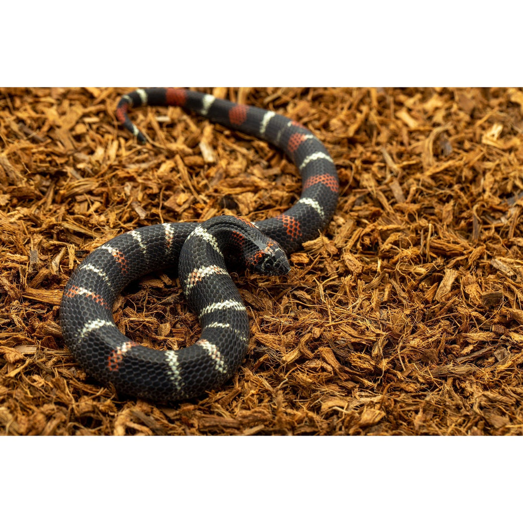 Fine Coconut Substrate Mix