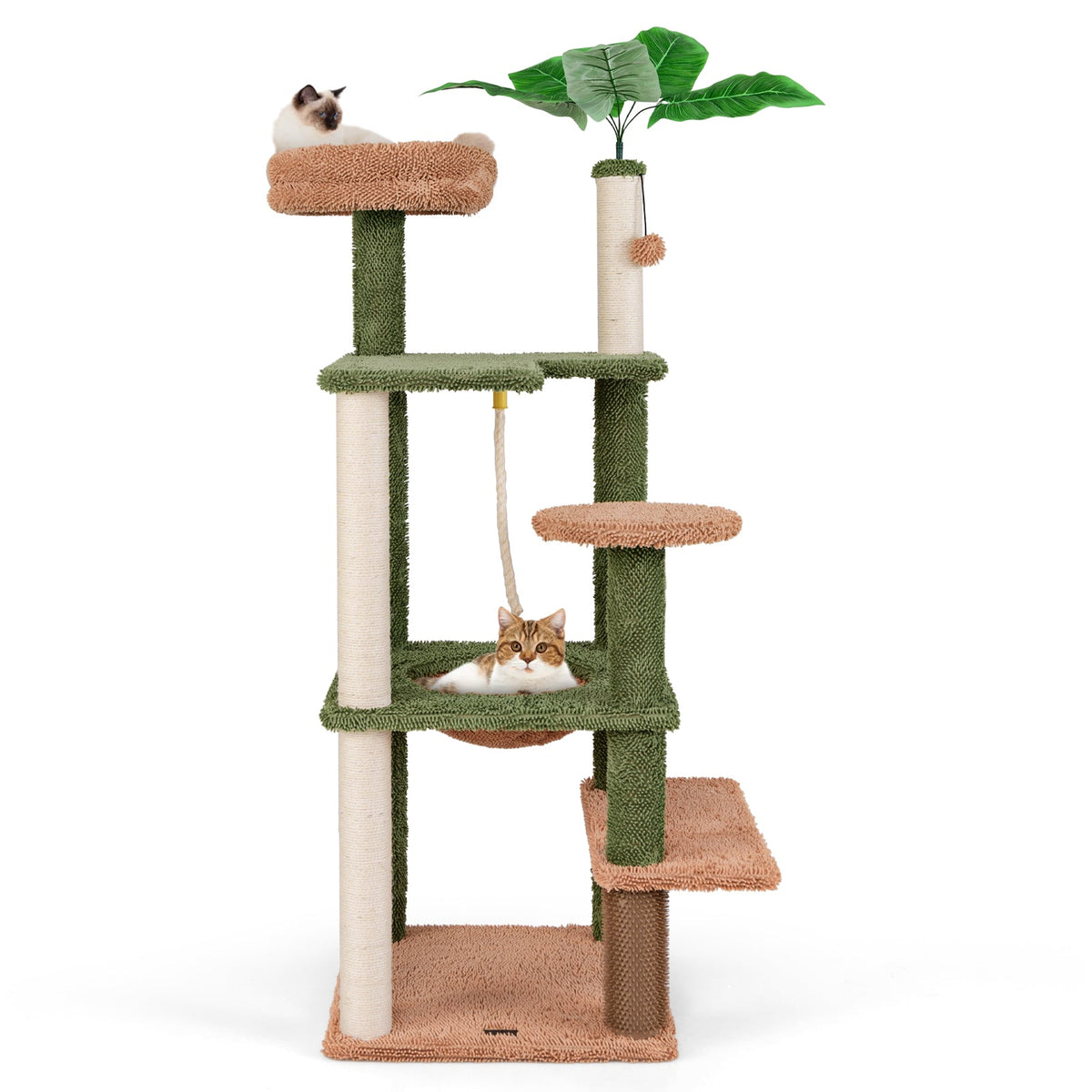 Multilevel Cat Tree