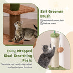 Multilevel Cat Tree
