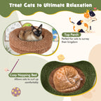 Multilevel Cat Tree
