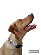 Bigfoot Green Dog Collar MD, LG, XL, Leash