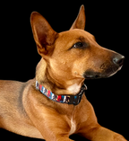 Bigfoot Green Dog Collar MD, LG, XL, Leash