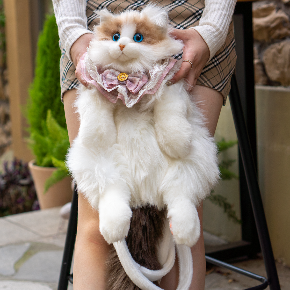 Ragdoll Cat Backpack –  Travel