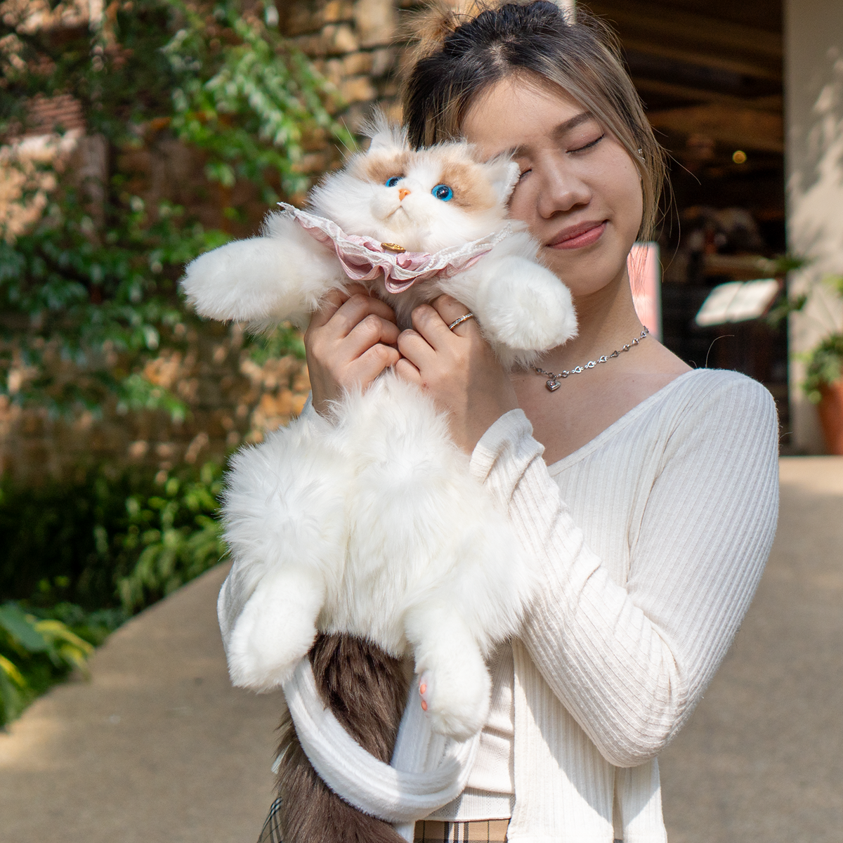 Ragdoll Cat Backpack –  Travel