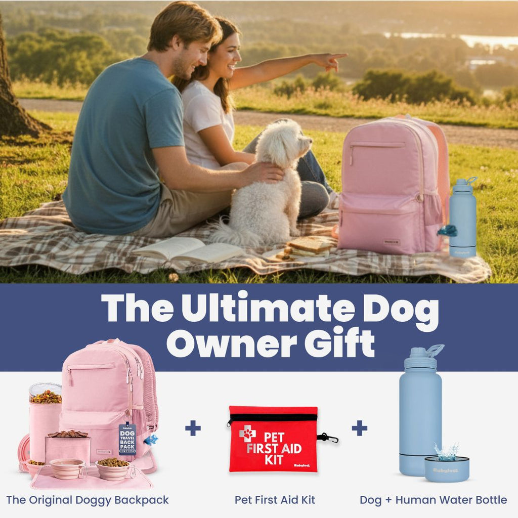 Doggy Bag Backpack for Dog