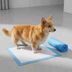 Pet Urine Pads