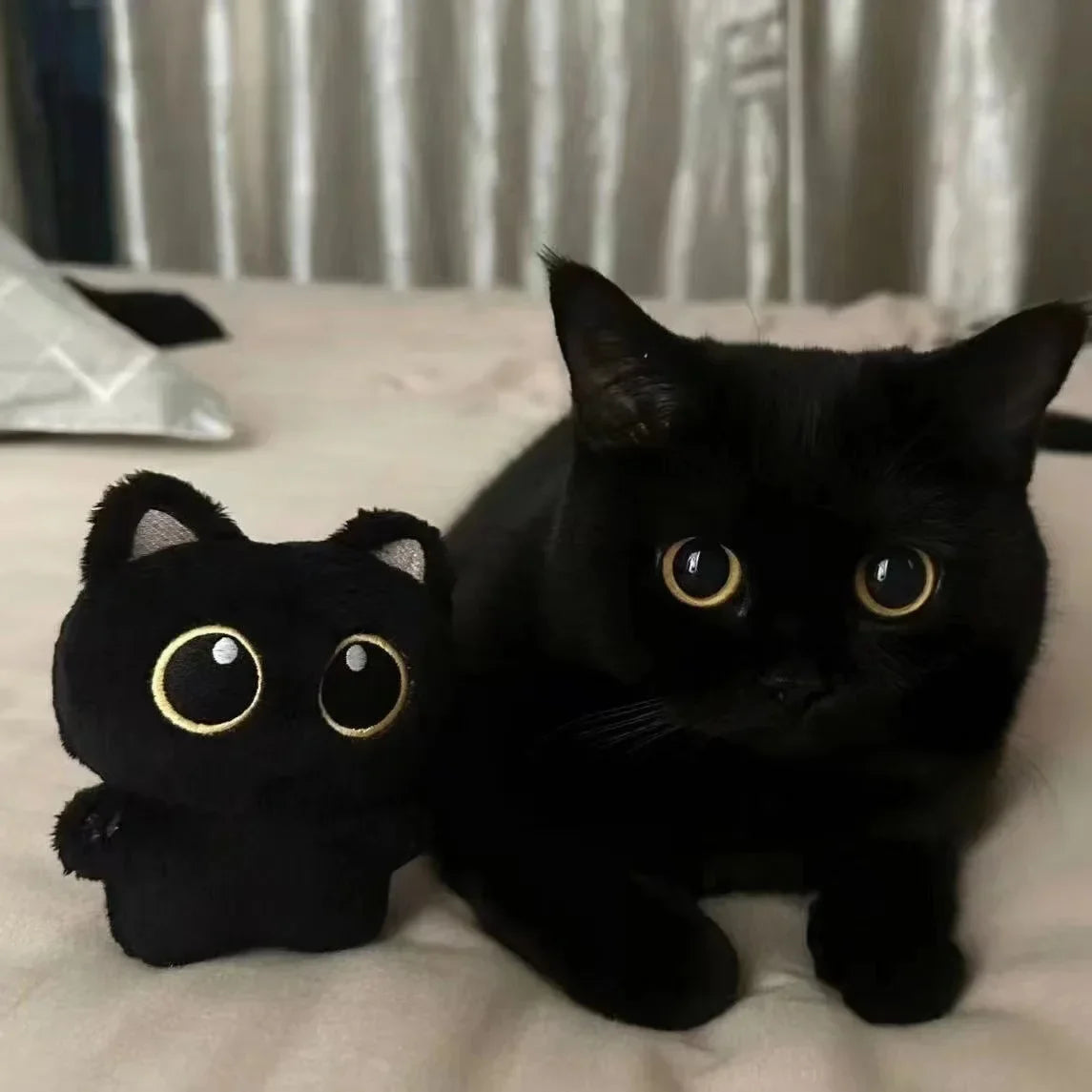 Cat Plush Toy Doll