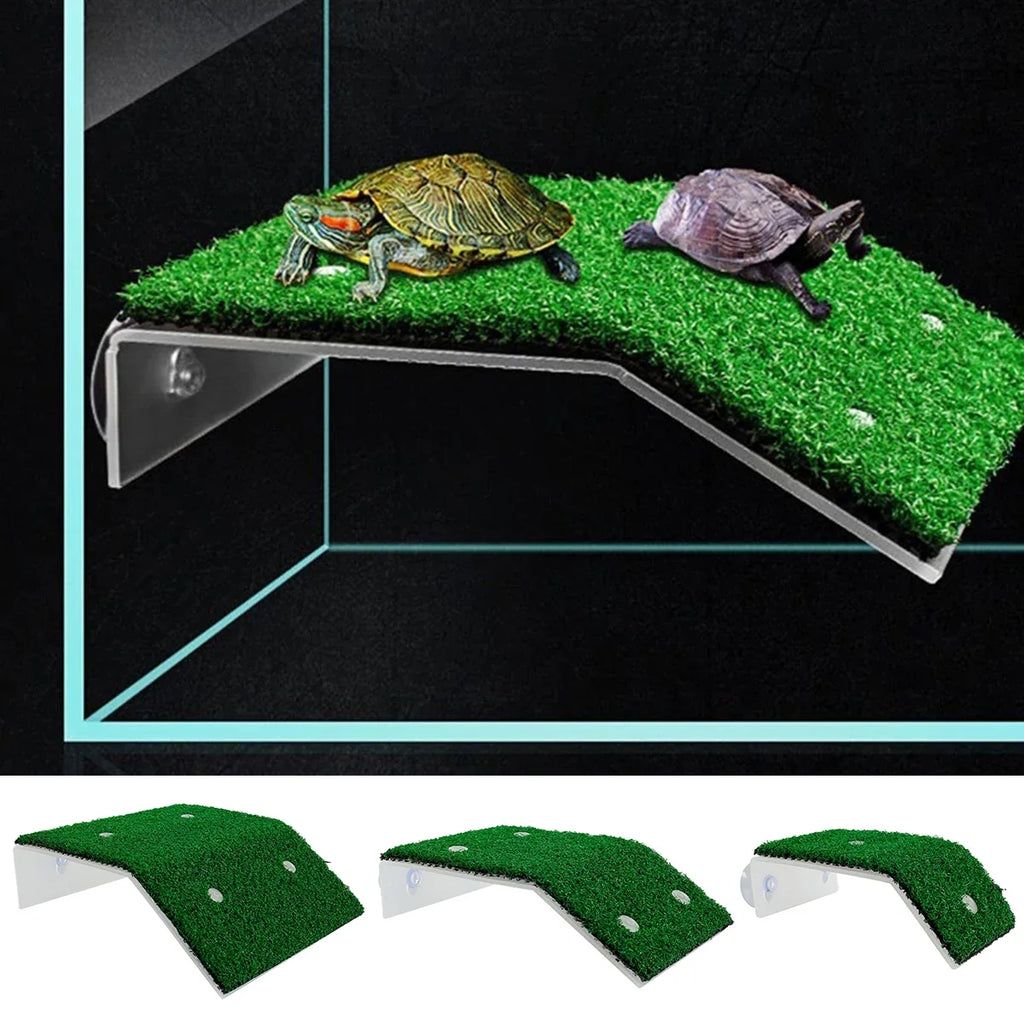 Turtle Platform Float Decoration