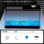Eco Friendly Fish Tank
