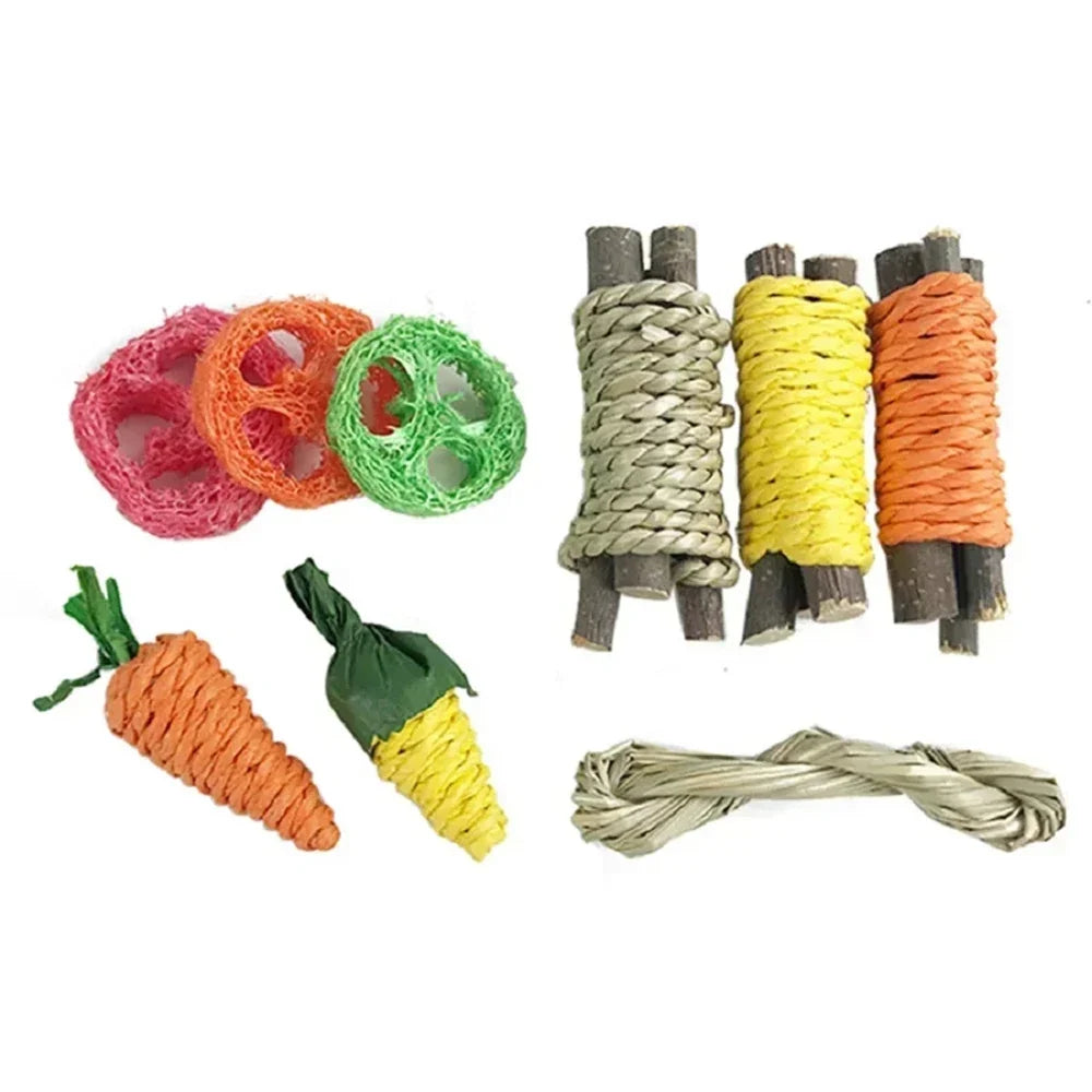 Small Pet Toy Set 9pcs