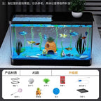 Eco Friendly Fish Tank
