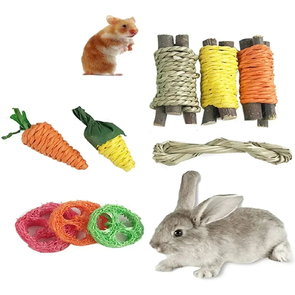 Small Pet Toy Set 9pcs
