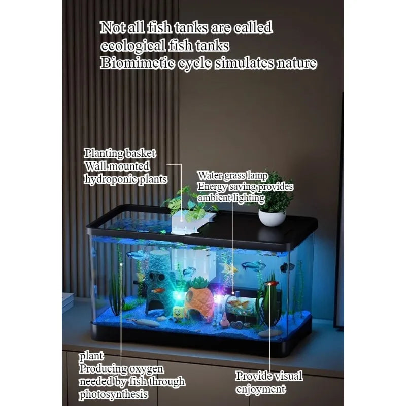 Eco Friendly Fish Tank