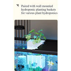 Eco Friendly Fish Tank