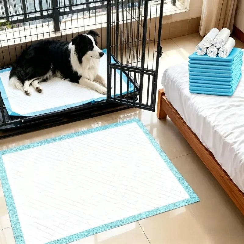 Pet Urine Pads