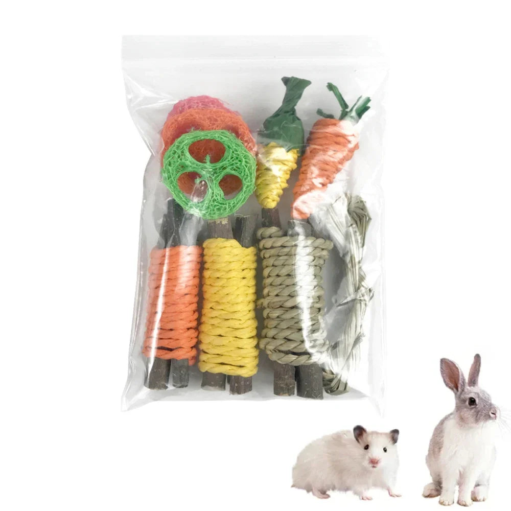Small Pet Toy Set 9pcs