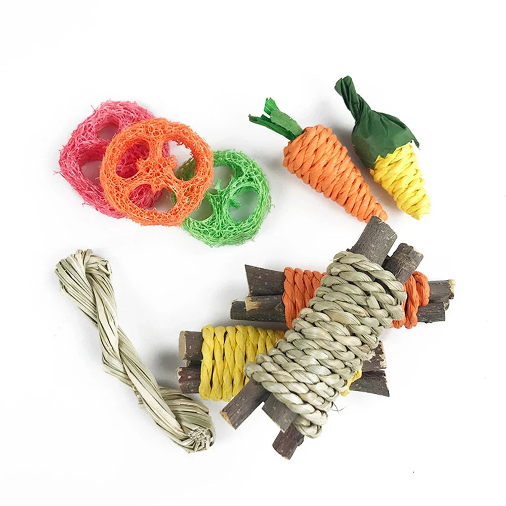 Small Pet Toy Set 9pcs