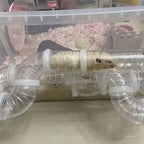 Hamster Tunnel Toy