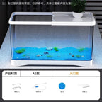 Eco Friendly Fish Tank