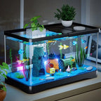 Eco Friendly Fish Tank