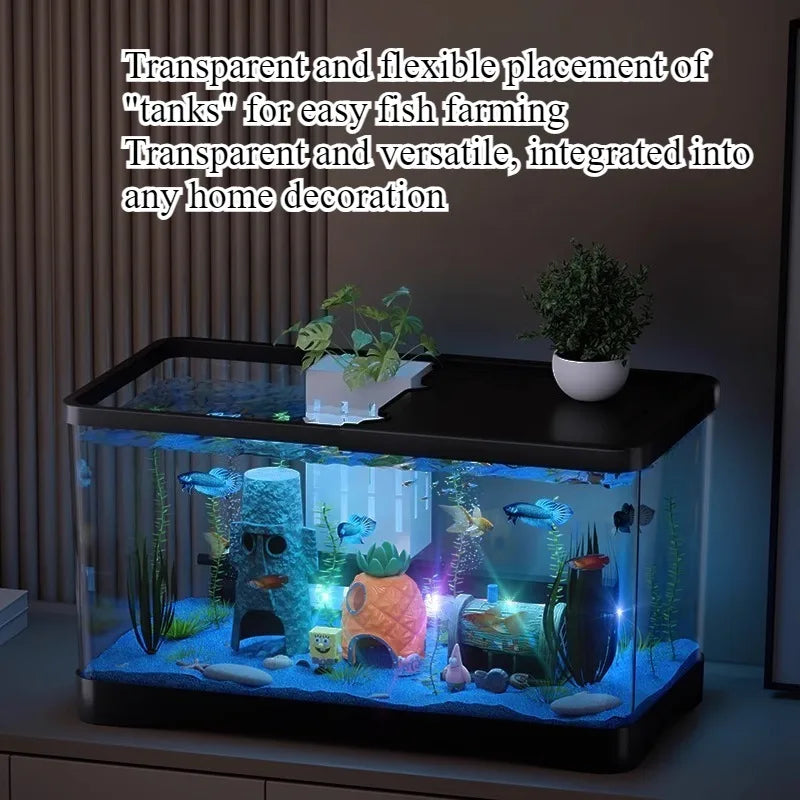 Eco Friendly Fish Tank
