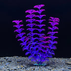 1PC Plastic Simulated Aquatic Plants For Fish Tank, Aquarium Decoration,