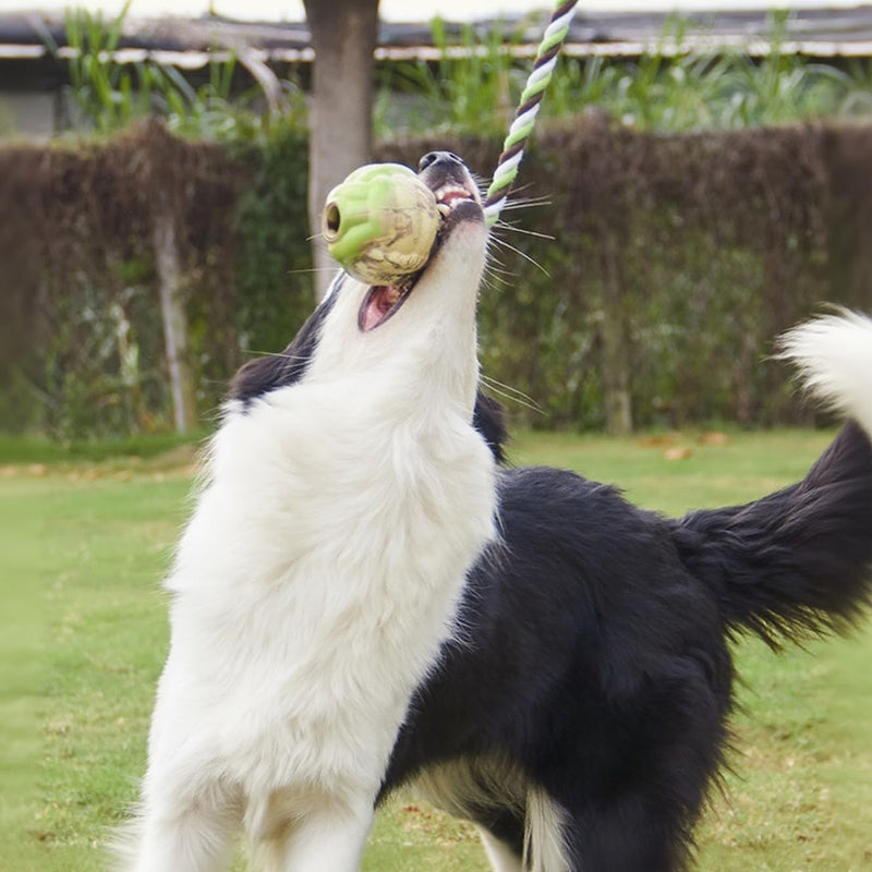 Ball Knot Dog Toys