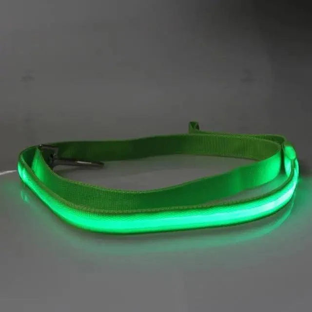 Adjustable Safety Seat Belt For Pets
