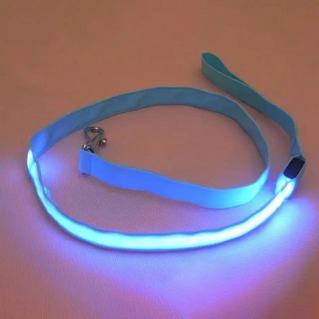 Adjustable Safety Seat Belt For Pets