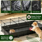 Guinea Pig Cage