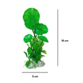 Aquarium Decoration