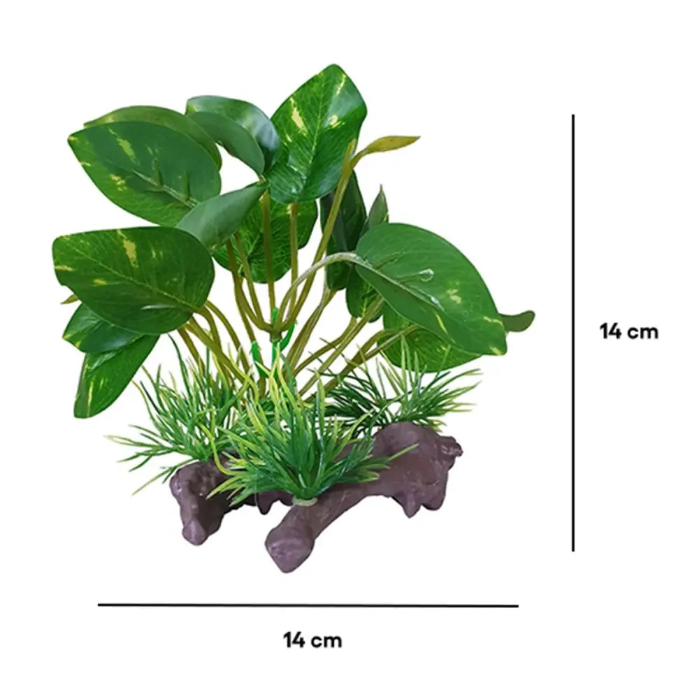 Aquarium Plant Decoration