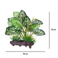 Fish Aquarium Decoration