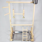 Solid Wood Toy Swing and Climbing Ladder